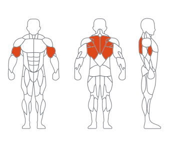 LD1033低拉背训练器 副本 LD1033低拉背训练器 副本